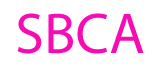 Sykes Behavioral Consulting and Resources, Inc. logo